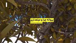 موشن گرافی چرا طرح مرتعداری تهیه کنیم